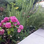 Апартаменты Brunmayr Гмунден