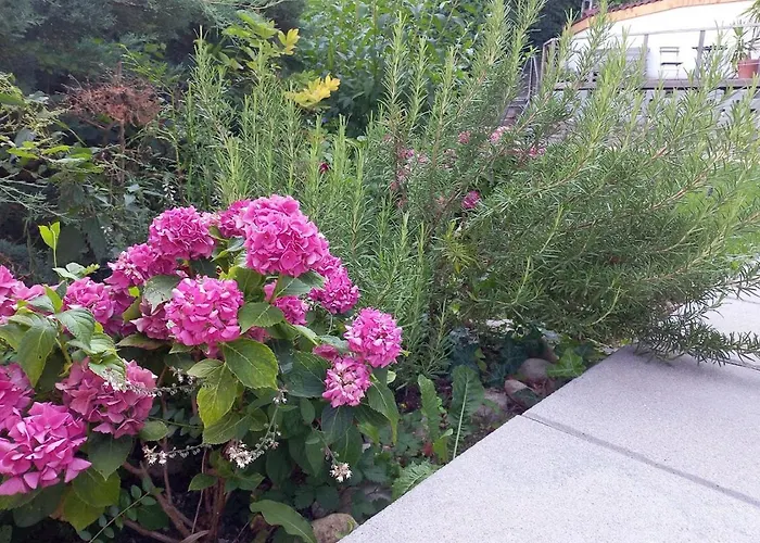 شقة Brunmayr غموندين