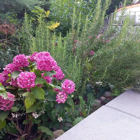 Apartament Brunmayr Gmunden